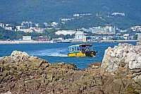 DSC 3528
