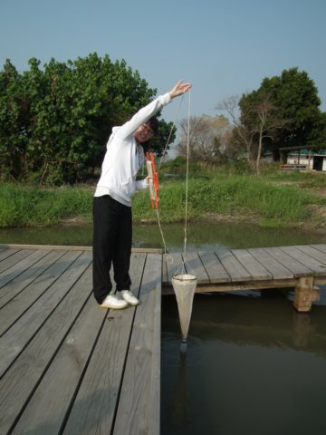 his2.jpg