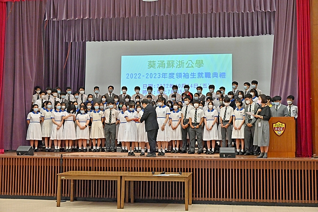 DSE 4538