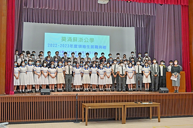DSE 4541
