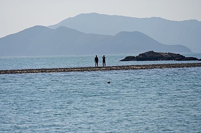 DSC 3561