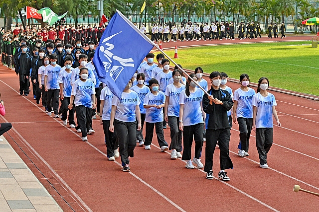 DSE 7410