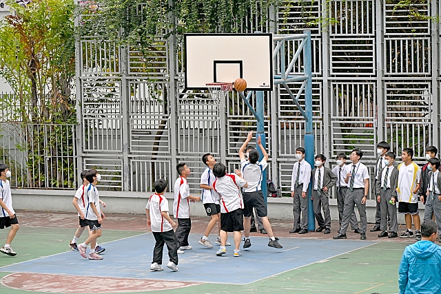 DSG 0542