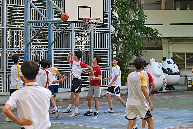 DSG 5819