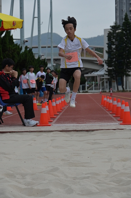 20240301-DSC 5101