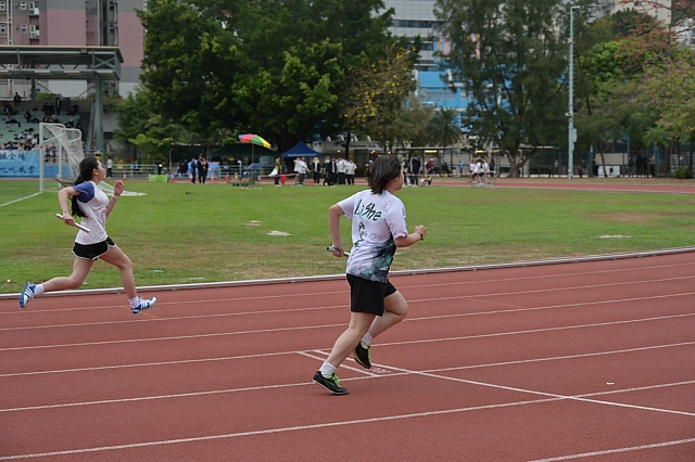 20240301-DSC 5253