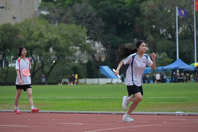 20240301-DSC 5306