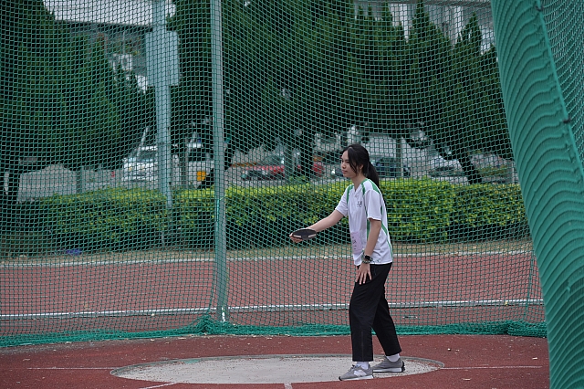 DSC 4206