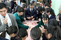 IMG 3788