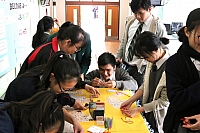 IMG 3797