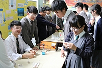 IMG 4532