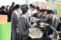 IMG 4551