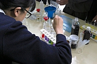 IMG 4567