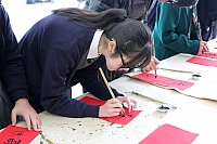 IMG 5147