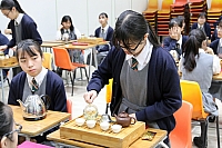 IMG 5262
