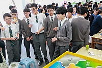 IMG 6495