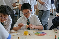 IMG 6618