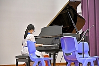 DSG 3496