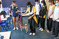 DSC 0968
