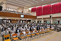 DSG 3592