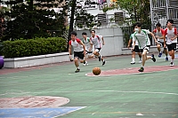 DSG 4260-2