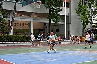 DSG 4298-2