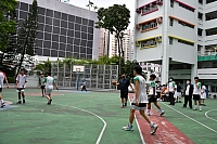 DSG 4309-2
