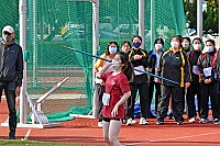DSE 8365