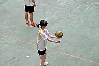 DSG 0519