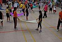 DSG 4453