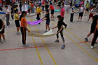 DSG 4454