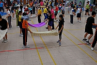 DSG 4455