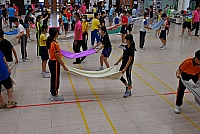 DSG 4457