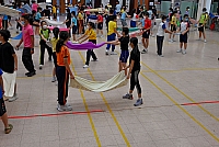DSG 4459