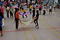 DSG 4460