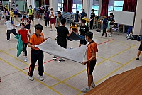 DSG 4462
