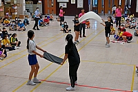 DSG 4465
