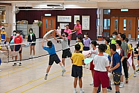 DSG 4497