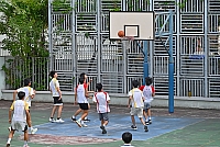 DSG 5781
