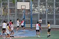 DSG 5816