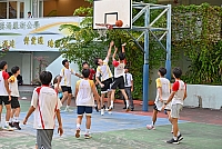 DSG 5831