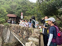 IMG 7596