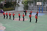 DSG 8011