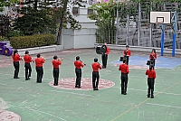 DSG 8012