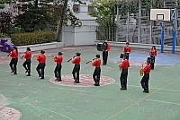 DSG 8015