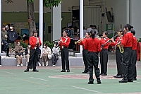 DSG 8044