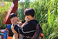 IMG 7737