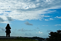 20231211-DSC 4597
