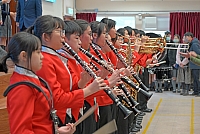 DSG 9291