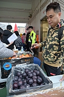 DSC 4019